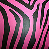 Custom Tiger Wall in Teenager's Bedroom - Fountain Valley